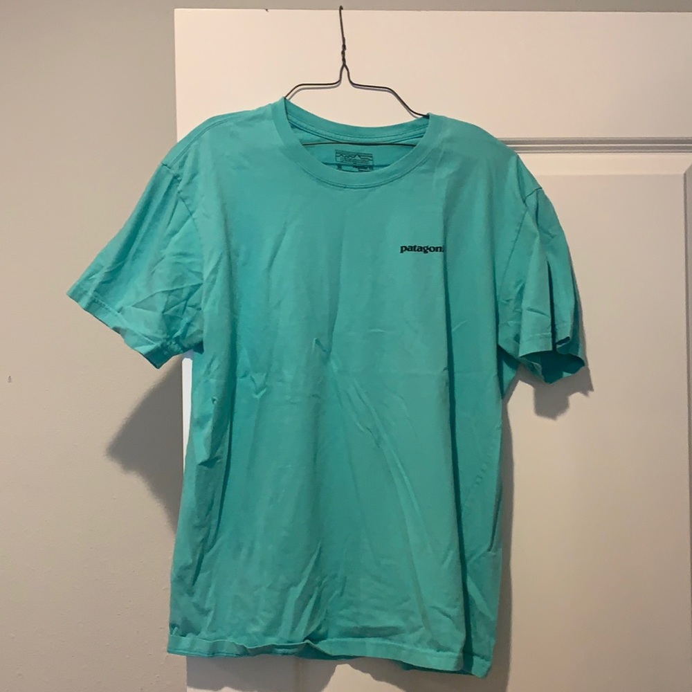 Patagonia tshirt